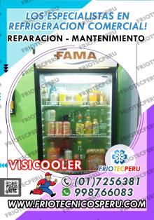 Visicoolers en problemas Soluciones extraordinarias 998766083